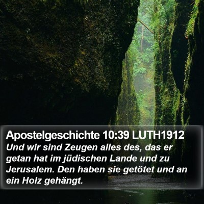 Apostelgeschichte 10:39 LUTH1912 Bible Verse Image