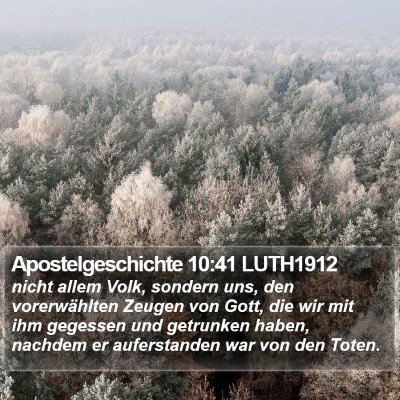 Apostelgeschichte 10:41 LUTH1912 Bible Verse Image