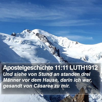 Apostelgeschichte 11:11 LUTH1912 Bible Verse Image