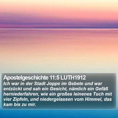 Apostelgeschichte 11:5 LUTH1912 Bible Verse Image