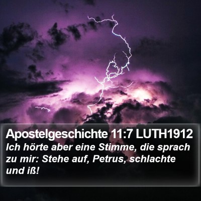Apostelgeschichte 11:7 LUTH1912 Bible Verse Image