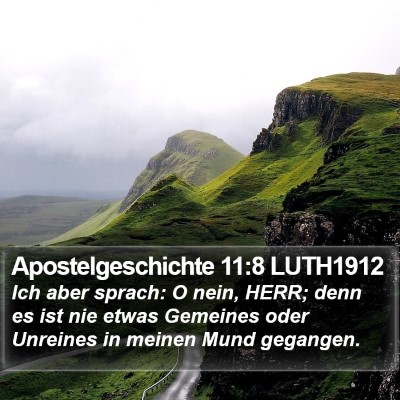 Apostelgeschichte 11:8 LUTH1912 Bible Verse Image