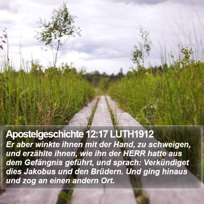 Apostelgeschichte 12:17 LUTH1912 Bible Verse Image