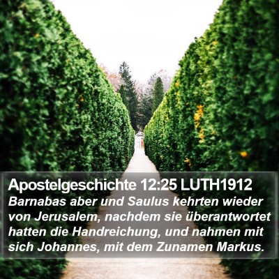 Apostelgeschichte 12:25 LUTH1912 Bible Verse Image