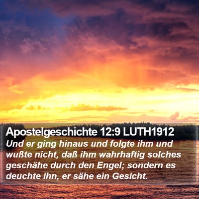 Apostelgeschichte 12:9 LUTH1912 Bible Verse Image