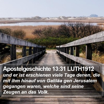 Apostelgeschichte 13:31 LUTH1912 Bible Verse Image