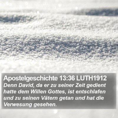Apostelgeschichte 13:36 LUTH1912 Bible Verse Image