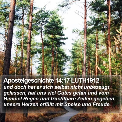 Apostelgeschichte 14:17 LUTH1912 Bible Verse Image