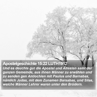 Apostelgeschichte 15:22 LUTH1912 Bible Verse Image