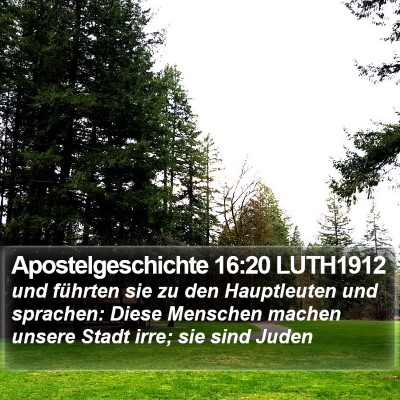 Apostelgeschichte 16:20 LUTH1912 Bible Verse Image