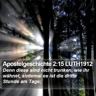 Apostelgeschichte 2:15 LUTH1912 Bible Verse Image