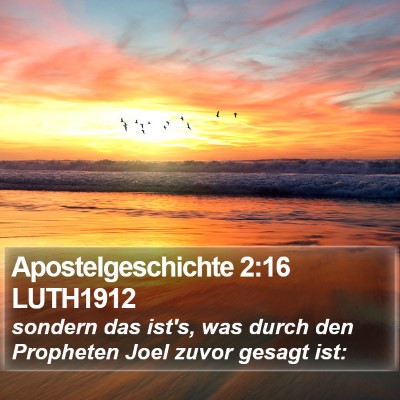 Apostelgeschichte 2:16 LUTH1912 Bible Verse Image