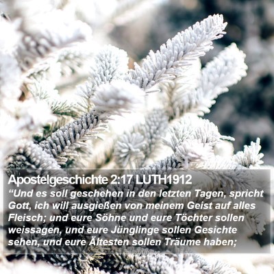 Apostelgeschichte 2:17 LUTH1912 Bible Verse Image