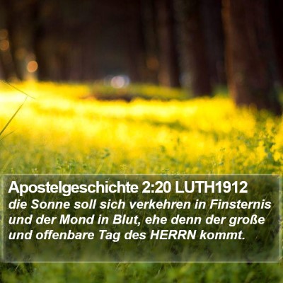 Apostelgeschichte 2:20 LUTH1912 Bible Verse Image