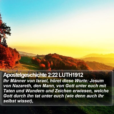 Apostelgeschichte 2:22 LUTH1912 Bible Verse Image