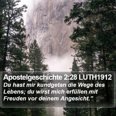 Apostelgeschichte 2:28 LUTH1912 Bible Verse Image