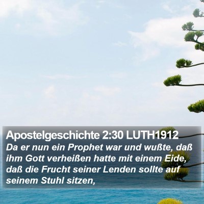 Apostelgeschichte 2:30 LUTH1912 Bible Verse Image