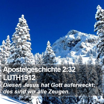 Apostelgeschichte 2:32 LUTH1912 Bible Verse Image