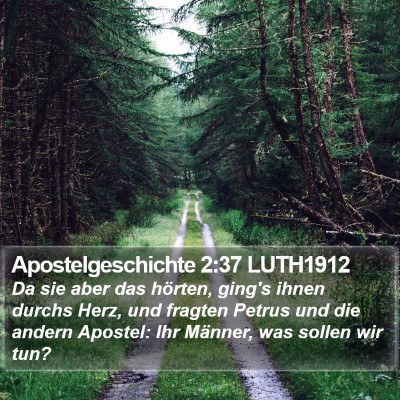 Apostelgeschichte 2:37 LUTH1912 Bible Verse Image