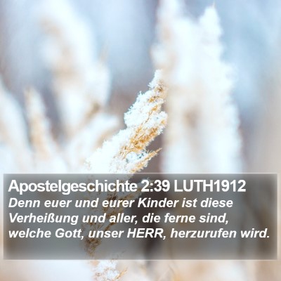 Apostelgeschichte 2:39 LUTH1912 Bible Verse Image