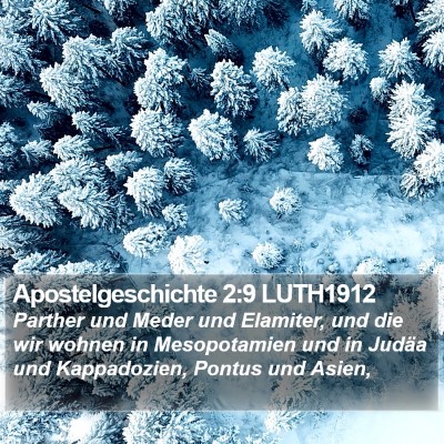 Apostelgeschichte 2:9 LUTH1912 Bible Verse Image