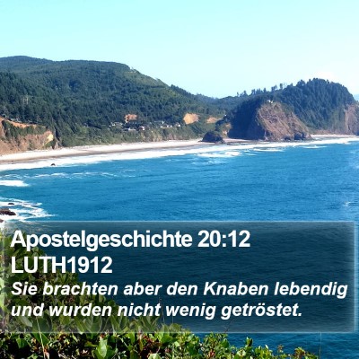 Apostelgeschichte 20:12 LUTH1912 Bible Verse Image