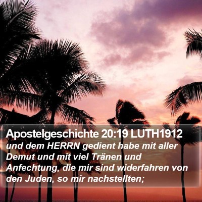 Apostelgeschichte 20:19 LUTH1912 Bible Verse Image