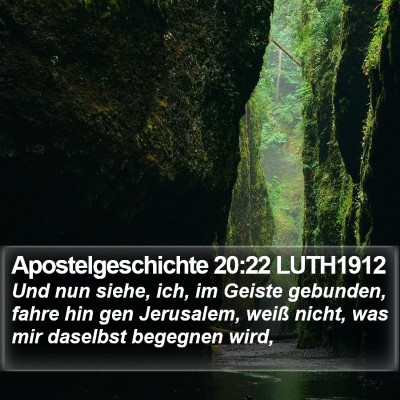 Apostelgeschichte 20:22 LUTH1912 Bible Verse Image
