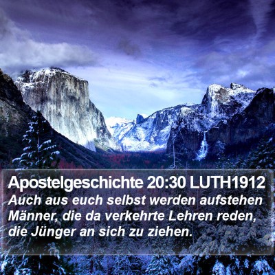 Apostelgeschichte 20:30 LUTH1912 Bible Verse Image