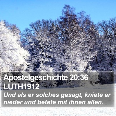 Apostelgeschichte 20:36 LUTH1912 Bible Verse Image