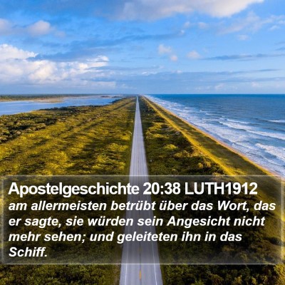 Apostelgeschichte 20:38 LUTH1912 Bible Verse Image