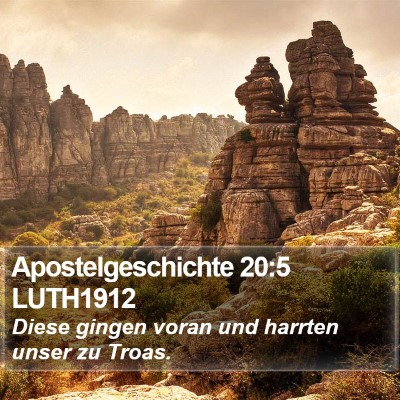 Apostelgeschichte 20:5 LUTH1912 Bible Verse Image