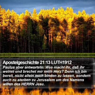 Apostelgeschichte 21:13 LUTH1912 Bible Verse Image