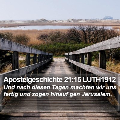 Apostelgeschichte 21:15 LUTH1912 Bible Verse Image