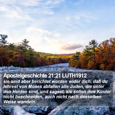 Apostelgeschichte 21:21 LUTH1912 Bible Verse Image