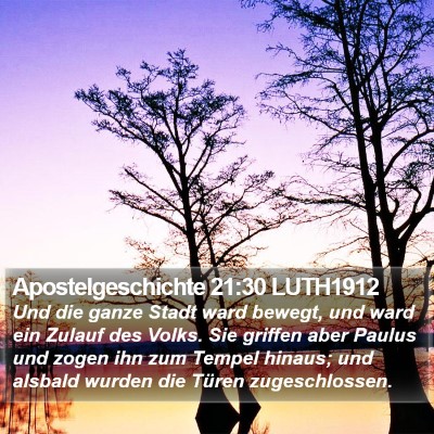 Apostelgeschichte 21:30 LUTH1912 Bible Verse Image