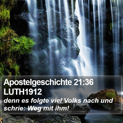 Apostelgeschichte 21:36 LUTH1912 Bible Verse Image