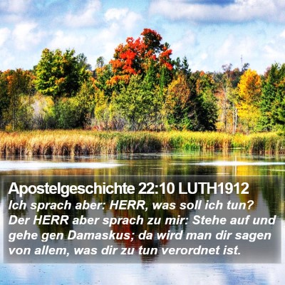 Apostelgeschichte 22:10 LUTH1912 Bible Verse Image