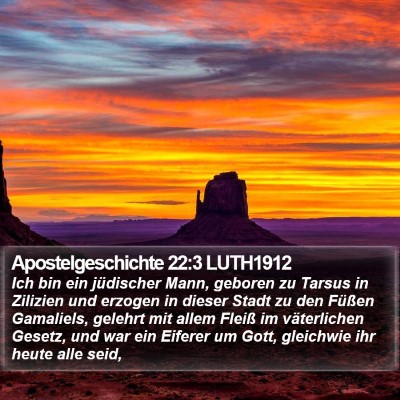 Apostelgeschichte 22:3 LUTH1912 Bible Verse Image