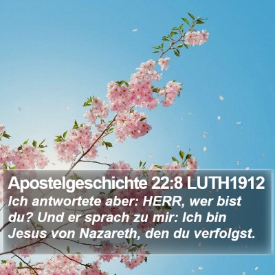 Apostelgeschichte 22:8 LUTH1912 Bible Verse Image