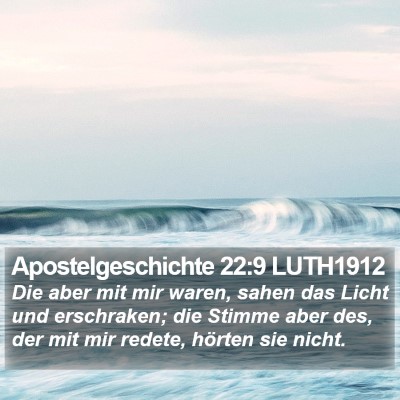 Apostelgeschichte 22:9 LUTH1912 Bible Verse Image