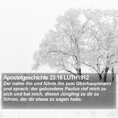 Apostelgeschichte 23:18 LUTH1912 Bible Verse Image