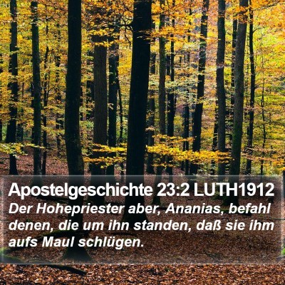 Apostelgeschichte 23:2 LUTH1912 Bible Verse Image