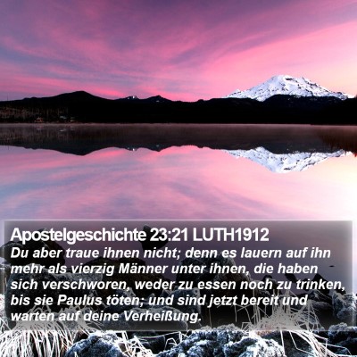 Apostelgeschichte 23:21 LUTH1912 Bible Verse Image
