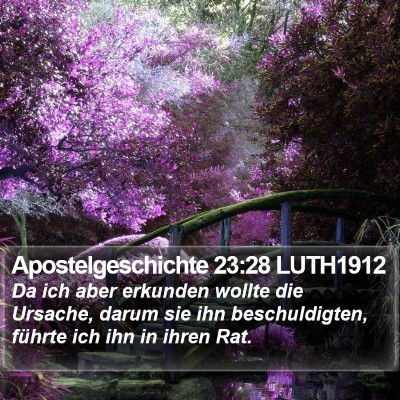 Apostelgeschichte 23:28 LUTH1912 Bible Verse Image