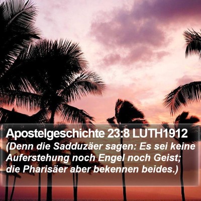 Apostelgeschichte 23:8 LUTH1912 Bible Verse Image