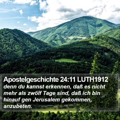 Apostelgeschichte 24:11 LUTH1912 Bible Verse Image