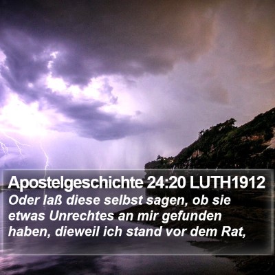 Apostelgeschichte 24:20 LUTH1912 Bible Verse Image