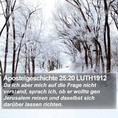 Apostelgeschichte 25:20 LUTH1912 Bible Verse Image