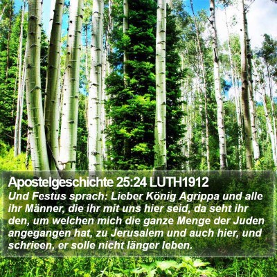 Apostelgeschichte 25:24 LUTH1912 Bible Verse Image